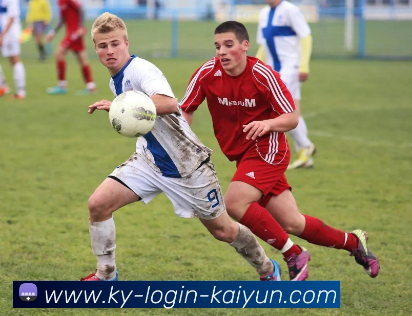 开云平台生态图